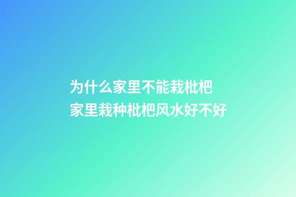 为什么家里不能栽枇杷 家里栽种枇杷风水好不好
